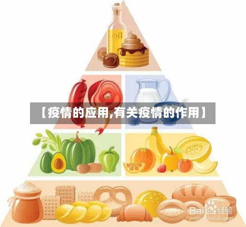 【疫情的应用,有关疫情的作用】-第2张图片