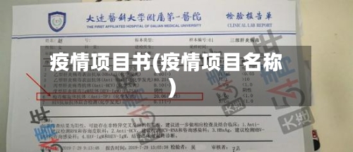 疫情项目书(疫情项目名称)-第3张图片